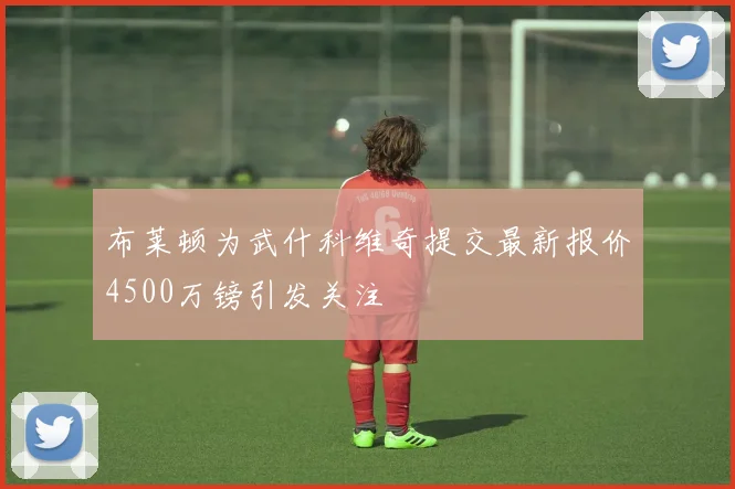 布莱顿为武什科维奇提交最新报价4500万镑引发关注